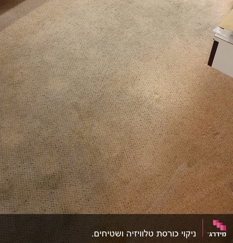 שטיח עם כתמים בחדר שינה